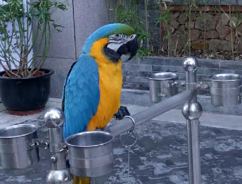 <html>
<head><title>502BadGateway</title></head>
<body>
<center><h1>502BadGateway</h1></center>
<hr><center>nginx</center>
</body>
</html>
<!--apaddingtodisableMSIEandChromefriendlyerrorpage-->
<!--apaddingtodisableMSIEandChromefriendlyerrorpage-->
<!--apaddingtodisableMSIEandChromefriendlyerrorpage-->
<!--apaddingtodisableMSIEandChromefriendlyerrorpage-->
<!--apaddingtodisableMSIEandChromefriendlyerrorpage-->
<!--apaddingtodisableMSIEandChromefriendlyerrorpage-->
