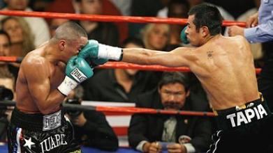 怎么提高格斗连贯性,如何提高自己的格斗能力