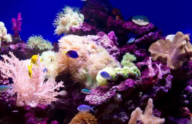 挺住抖音完整版,挺住抖音版