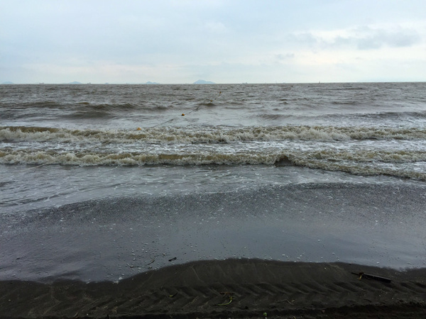 咀香园凤凰卷澳门,澳门咀香园美食攻略