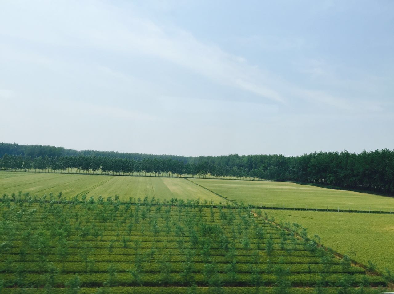 苏州访书记：从诚品到文学山房