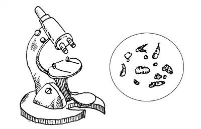 吃黄瓜中毒死亡,吃黄瓜中毒症状和处理措施