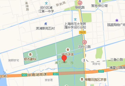 植树节去蚂蚁森林,植树节到