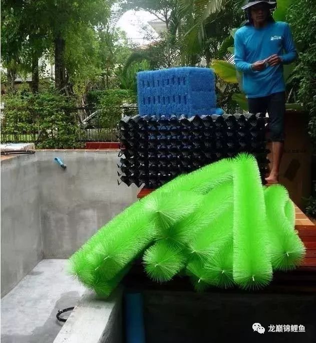 鱼缸水质ph值如何调节,鱼缸ph值什么意思