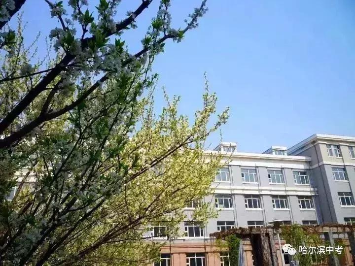 在四中上学是什么感受,在南师附中读书是一种怎样的体验