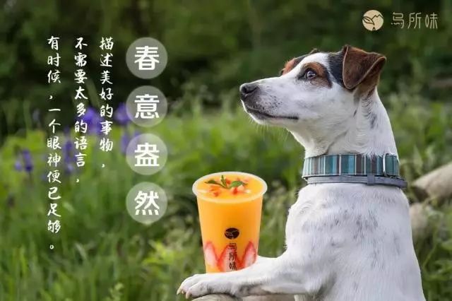 “乌所味”茶饮让宜兴人无所畏惧！1块钱得饮品，全场6折约不约？