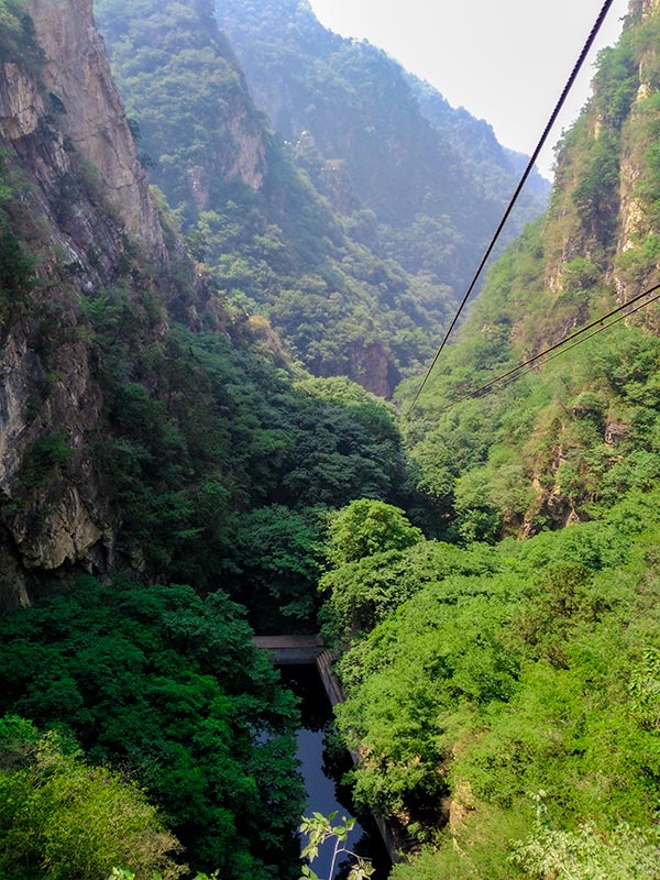 上方山森林动物世界游记,上方山动物园游记四年级