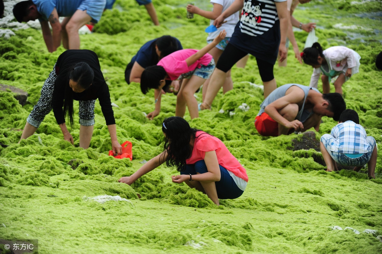 休闲农庄7种模式,怎样定位自己农场