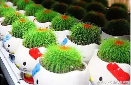 90后小伙摆摊赚7万,90后小伙做社交电商3个月真的赚钱