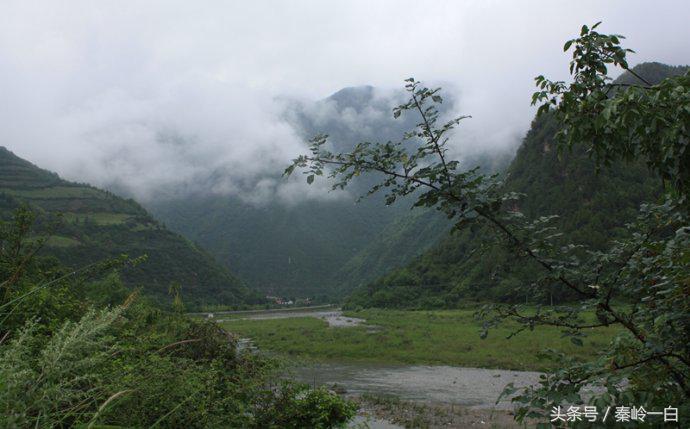 我们常吃的蜂蜜你真的了解它吗,蜂蜜是这样来的你还敢吃吗
