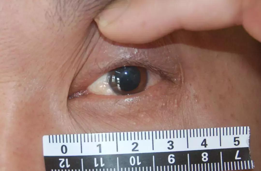 没对着人骨熬过夜，都不好意思说自己学过解剖学