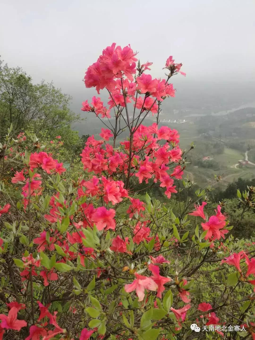 南溪山的传奇故事,宜宾南溪县的传说