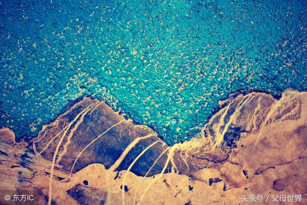 世界地球日，最适合孩子看的18部自然纪录片，趁周末，带娃看起来