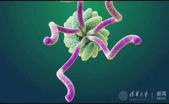 清华大学化学系金涌院士视频,金涌院士讲化工