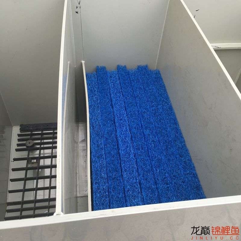 pp塑料锦鲤池,pp板材焊锦鲤池