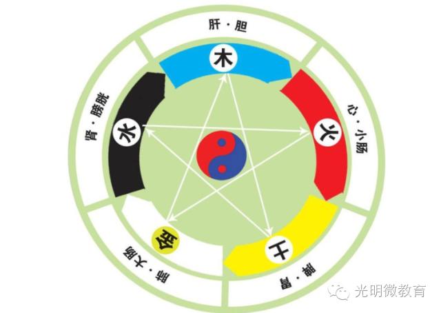 中医经典阅读视频,中医经典论述书