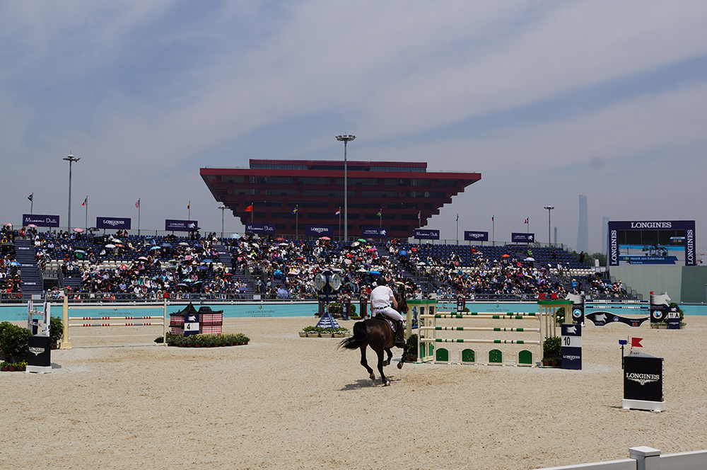 马术需要注意几个误区,观赏马有哪些