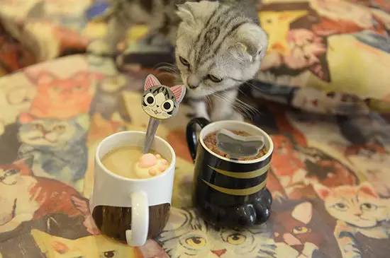 鐩樼偣閭d簺绮捐嚧鐨勪笅鍗堣尪,涓嬪崍鑼朵紭閫夌郴鍒楁湁鍝簺