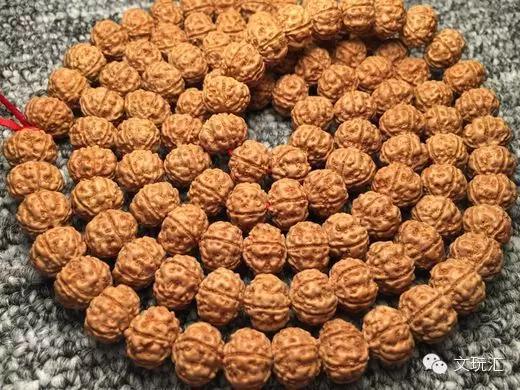 金刚菩提青皮怎么挑选,3000块钱能买什么样的金刚菩提