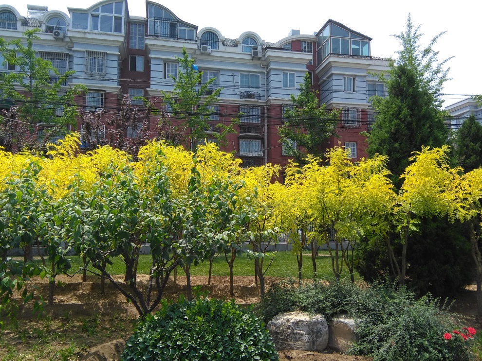 华为揽阅m210.1寸值得购买吗,华为揽阅m2青春版值吗