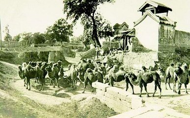 昔日丝绸路驼队阵阵显繁荣今朝OTO再起风云闹汉唐