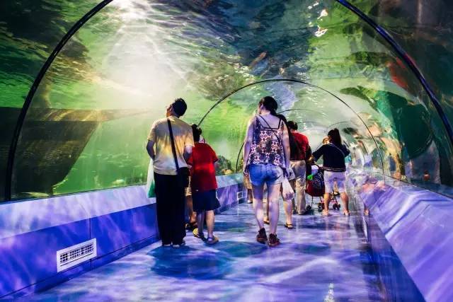 儿童节带娃去哪儿玩主城附近,六一儿童节带孩子来走走吧