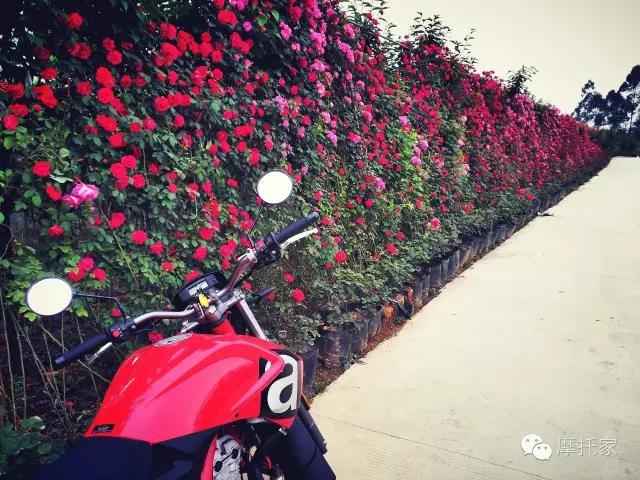 摩托之家阿普利亚rs660,摩托家