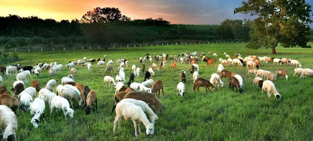 带娃游马来西亚带啥,去马来西亚适合带孩子去吗