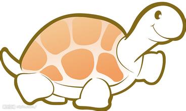 把乌龟杀掉会怎么样,把乌龟杀死了怎么办