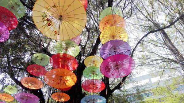 锦绣中华泼水节，一不小心踏遍了整个中国