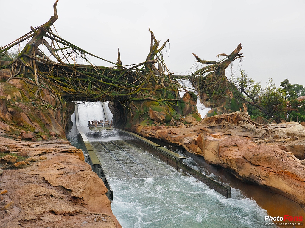 奥林巴斯17mmf1.8能自动对焦吗,奥林巴斯17mmf1.2pro对比老蛙18mm