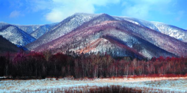 为什么阿尔山是欧洲风格,阿尔山为什么有国门