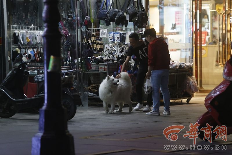 遛狗不牵绳记者,遛狗不拴绳被民警发现