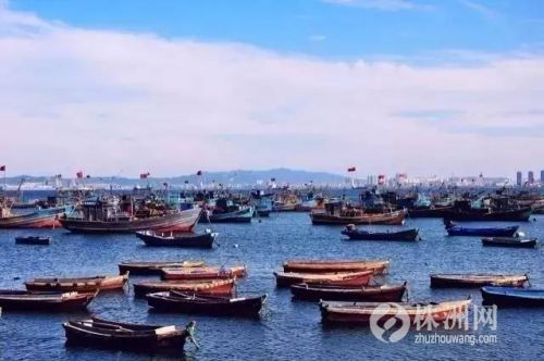 浙江海边小渔村,浙江小渔村自驾