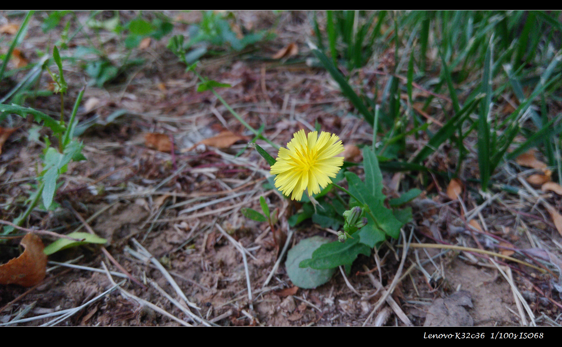 涔愭3,鑱旀兂涔愭3