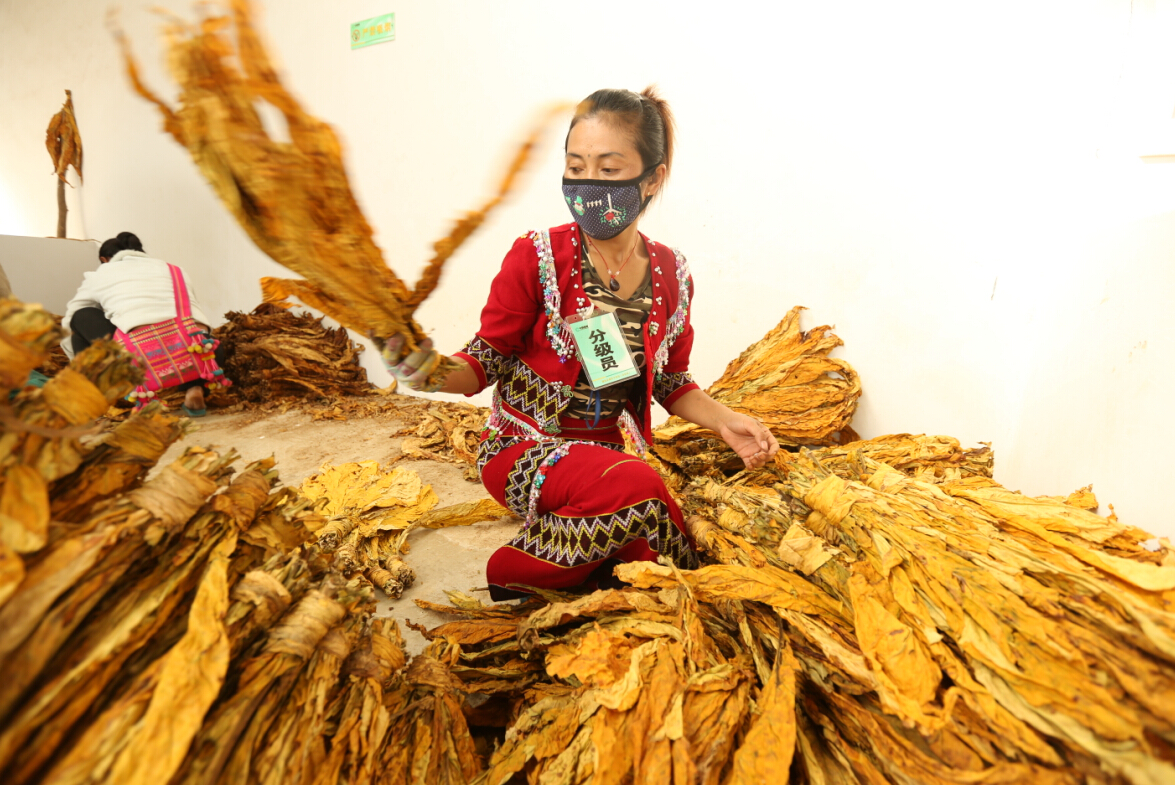 关于世界戒烟日的来历,国际戒烟日