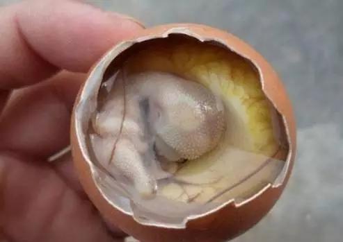 这些“恶心”的福建美味!恐怕顶级的福建吃货也难以吃到了……