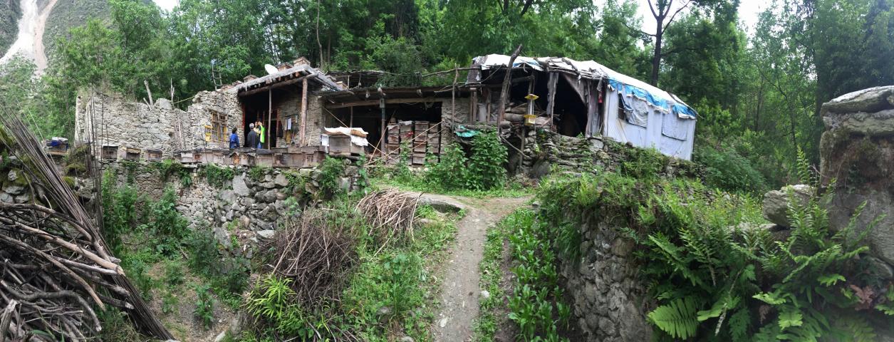 高山老巢土蜂蜜,真正的高山土蜂蜜