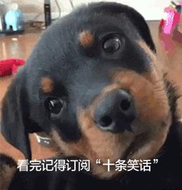 盘点类似一树梨花压海棠的古诗词,一树梨花压海棠之类的经典诗句