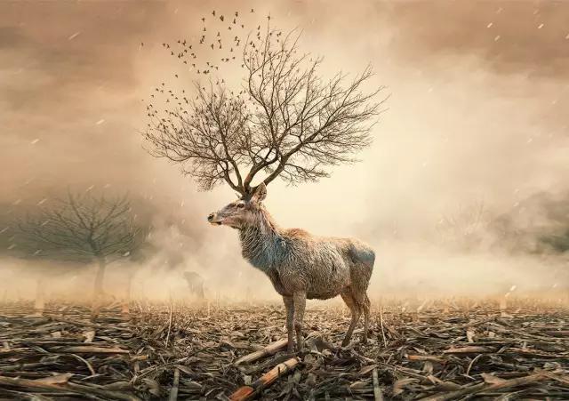 吃了龙虾后,大妈竟神奇变身数学天才......