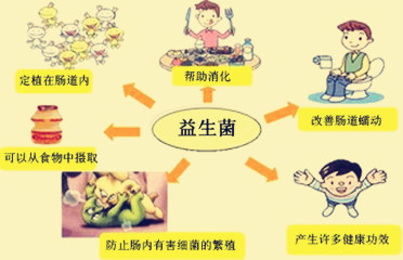 益生菌：好处多多、误区也多多