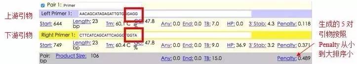 pcr引物设计软件优缺点,idt的在线引物设计工具