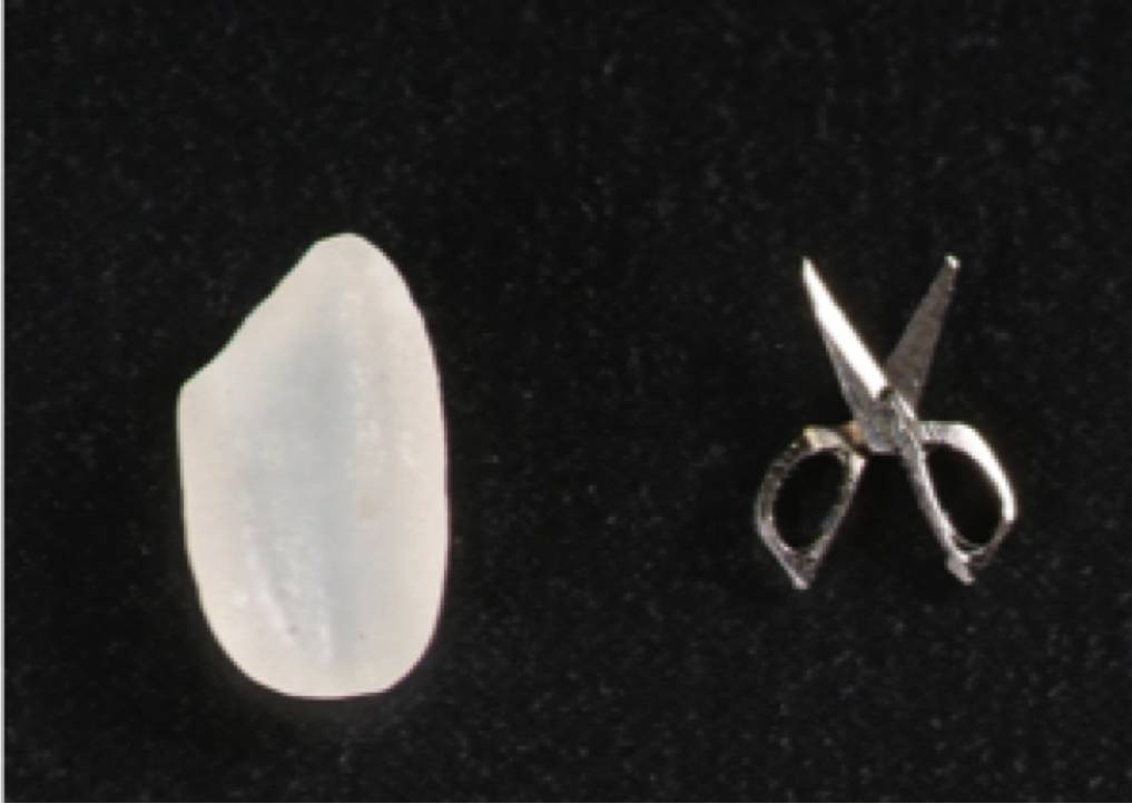 日本最牛的技术领域,日本最牛的科技