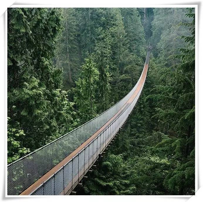 去加拿大零费用是真的吗,没钱到加拿大能生活吗