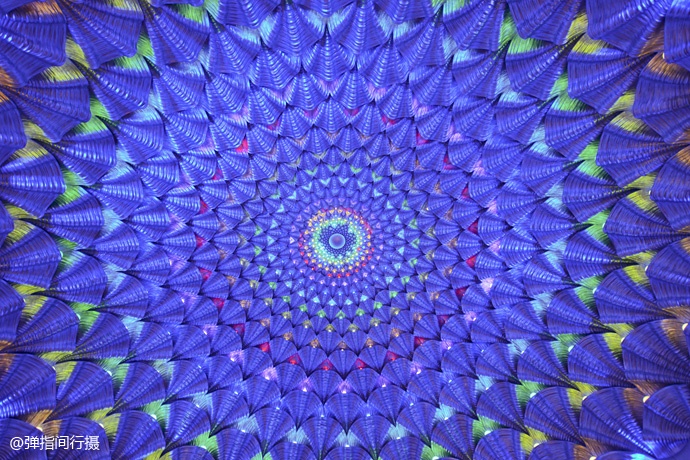 珠海长隆旅游攻略和住宿,珠海长隆周末有什么活动