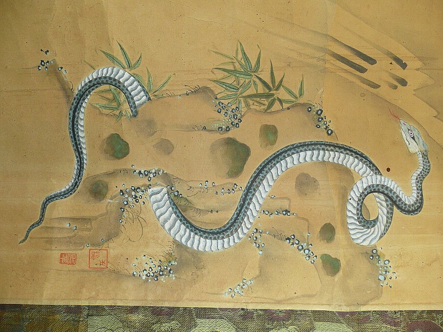 家蛇可以挑走吗,进家蛇为什么不能碰