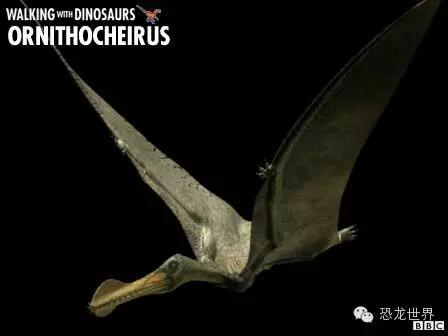 地球生物进化史第1集 (古生物三部曲bbc)