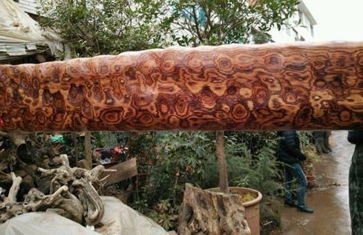 30年前的黄花梨如今价格,大叶黄花梨有收藏价值吗