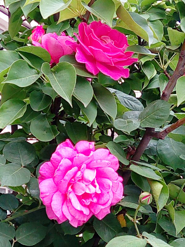 长假远行,假期小旅行