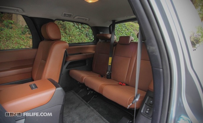 被遗忘的巨兽,被遗忘的远古巨兽